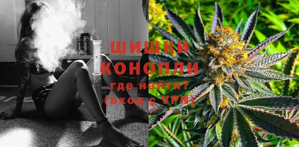 кокс Гусев