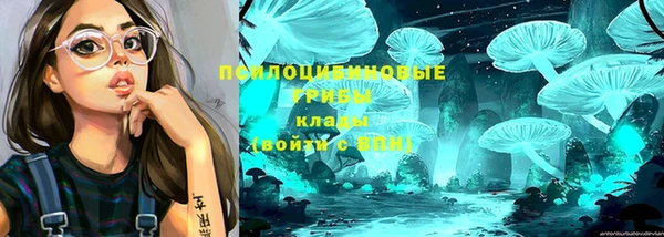 Альфа ПВП Гусь-Хрустальный