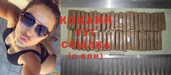 кокс Гусев